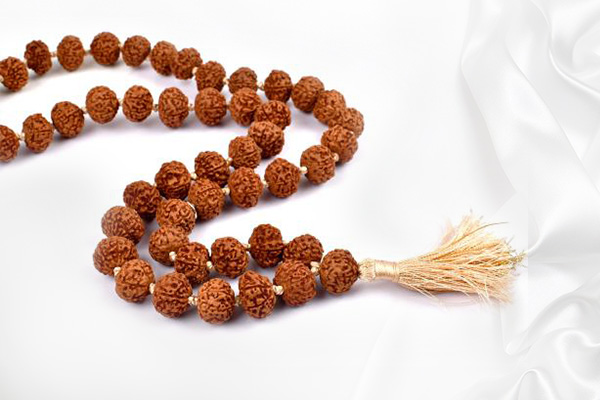 7 mukhi rudraksha mala