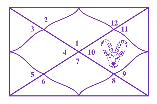 Capricorn in the 10th House