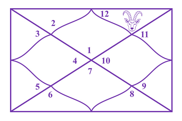 Capricorn in the 12th House