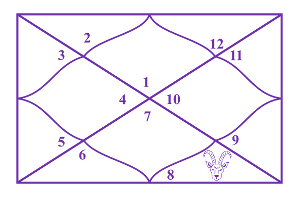 Capricorn in the 8th House