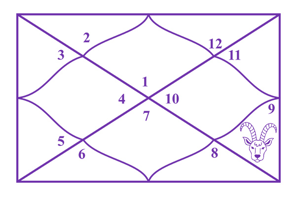 Capricorn in the 9th House