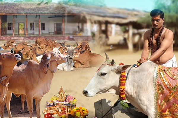 Cow Donation (Gau Daan)