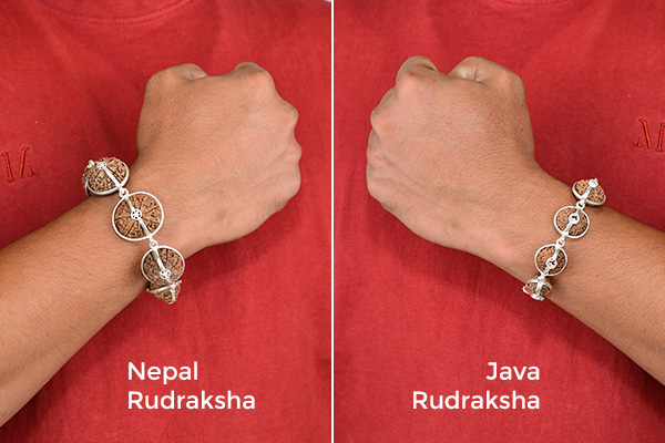 Comparing Java and Nepali Rudraksha
