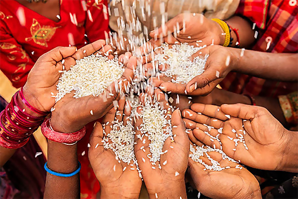 Daan (Donation) on Devshayani Ekadashi