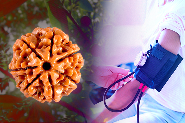 Effect on Blood Circulation and the Heart