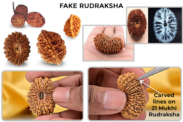 Beware of Fake and Manipulated Rudraksha Beads