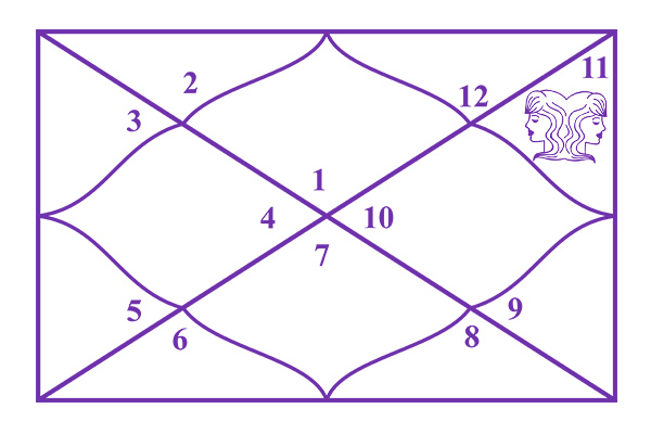 Gemini in the 11th House