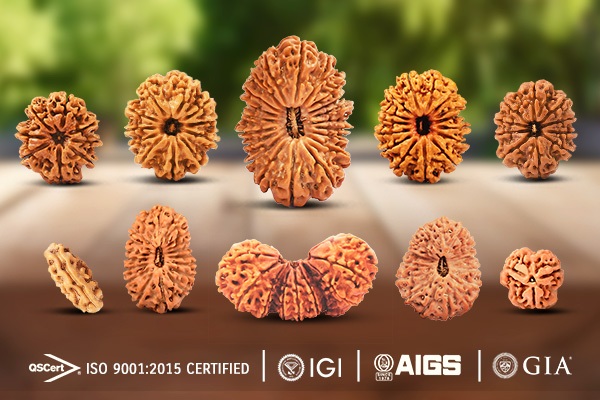 Genuine Rudraksha Beads