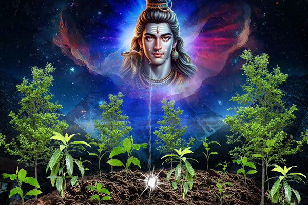 History of Rudraksha