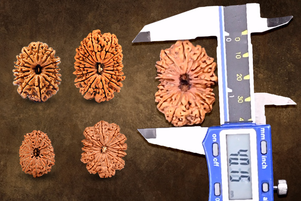 How Does The Size Of The Beads Impact The Duration Of Their Effectiveness