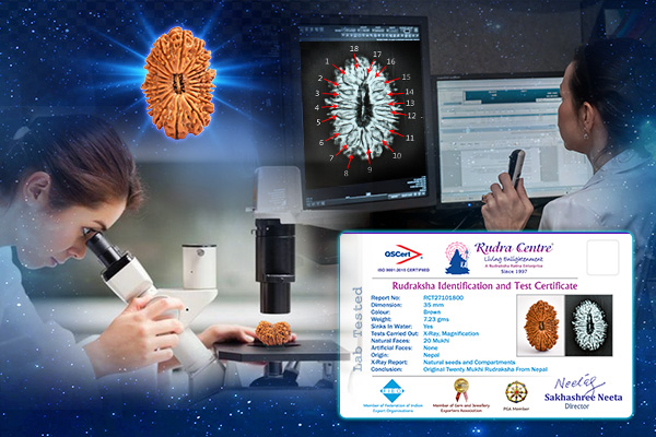About Our Rudraksha Certification