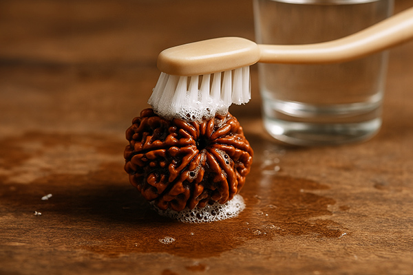 How to Clean & Maintain Rudraksha