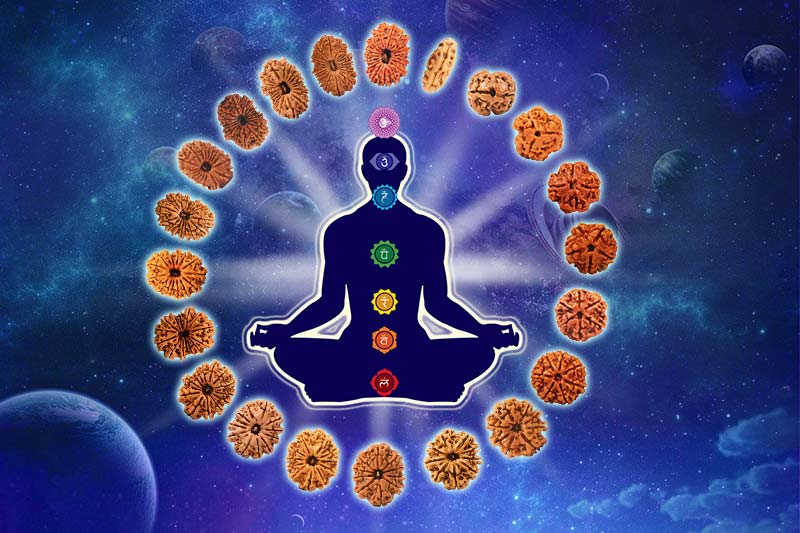 How does Rudraksha Therapy Work