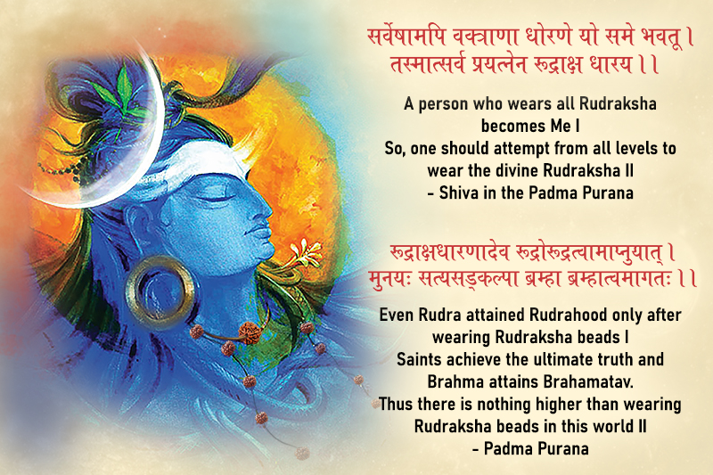 How Rudraksha Works