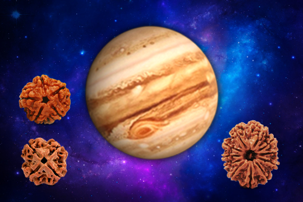 Rudraksha for Jupiter (Guru Graha) Sign