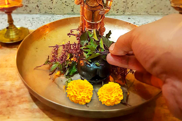Kamika Ekadashi Puja Vidhi - Pooja Procedure