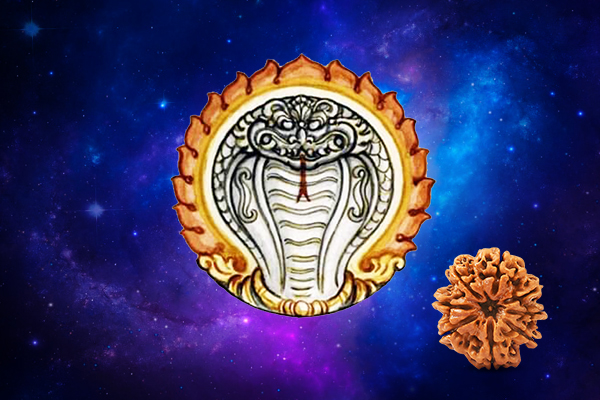 Rudraksha for South Node (Ketu) Sign