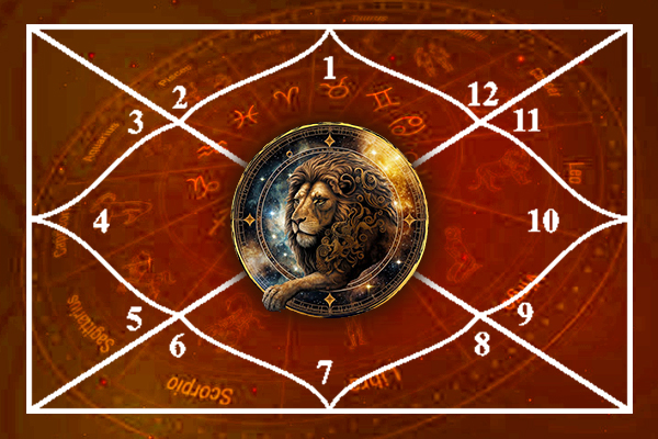 Leo in Different Houses of Astrology