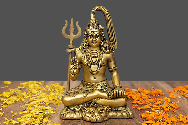 Shiva Idols