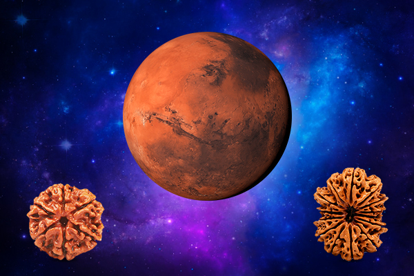 Rudraksha for Mars (Mangal Graha) Sign