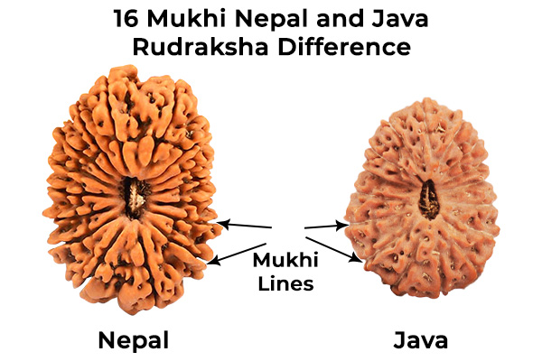 Misrepresentation of Origin (Nepal vs Java)