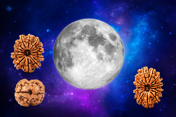Rudraksha for Moon (Chandra Graha) Sign