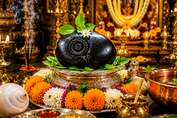 More About Shaligram Shila & Its Significance