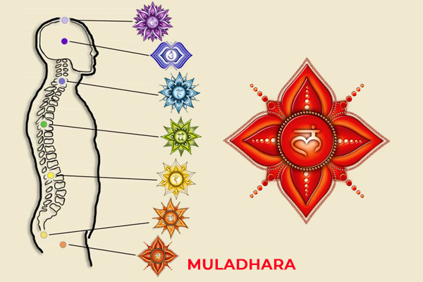 What is the Chakra System