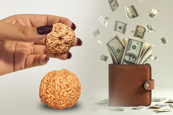 Price of Nirakar or 0 Mukhi Rudraksha