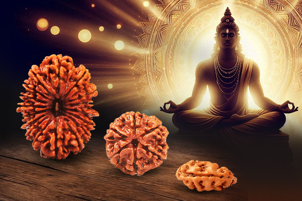 Genuine Rudraksha Beads