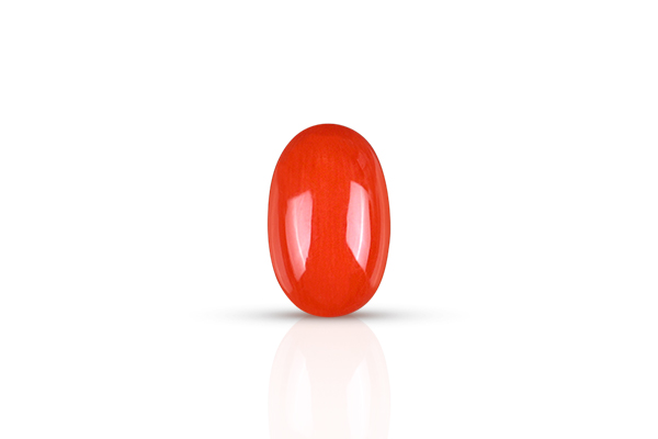 Red Coral (Moonga)