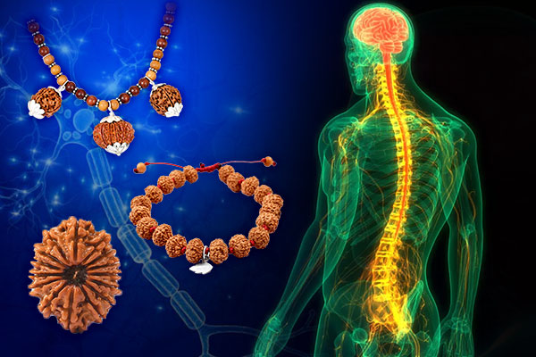 Rudraksha Inductance
