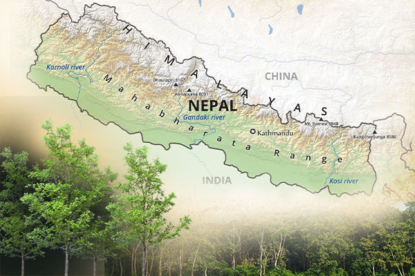 Nepal, Rudraksha trees