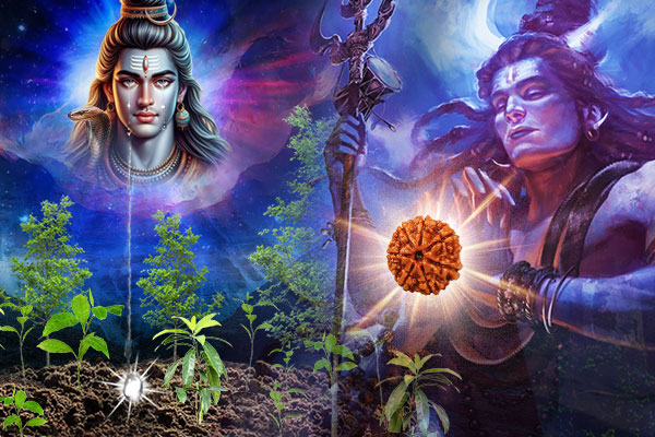 Different Types of Rudraksha & Their Properties