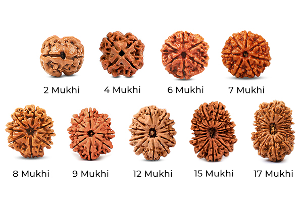 Rudraksha for Each Navagraha