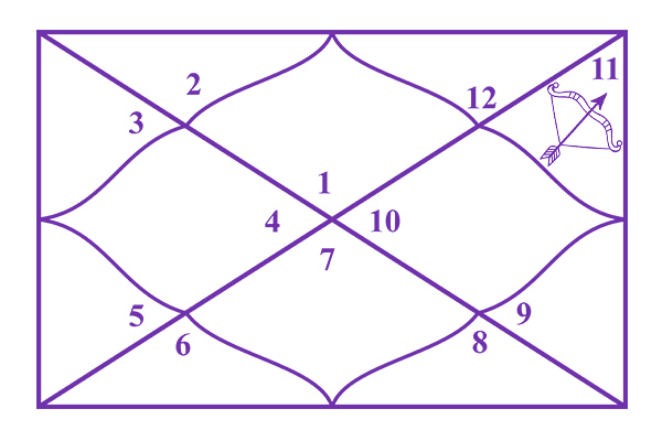 Sagittarius in the 11th House