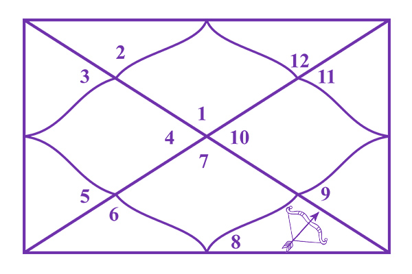 Sagittarius in the 8th House