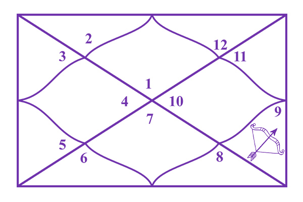 Sagittarius in the 9th House