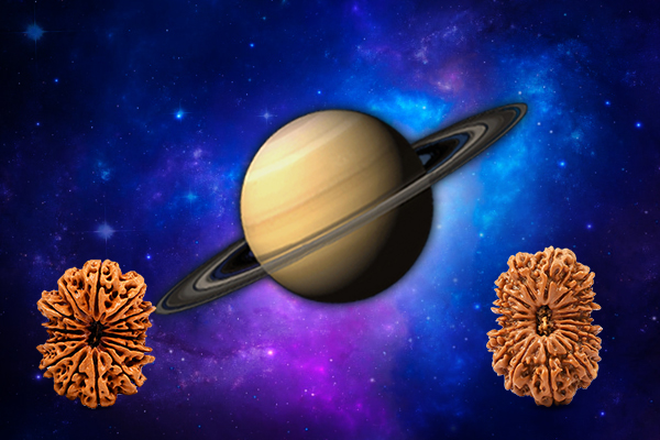 Rudraksha for Saturn (Shani Graha) Sign