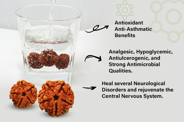 Scientific Research on Rudraksha