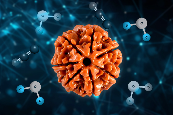 Scientific Composition & Therapeutic Properties