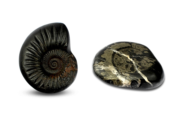 Shaligram Shila