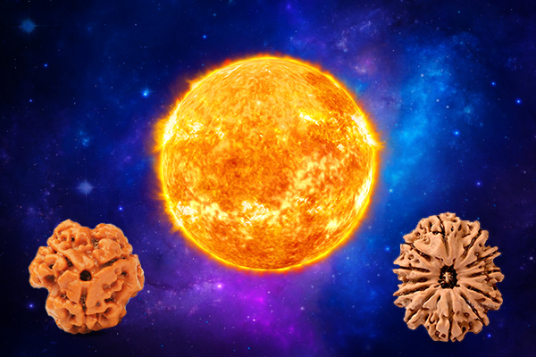 Rudraksha for Sun (Surya Graha) Sign