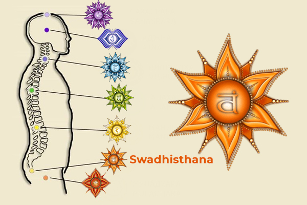 What is the Chakra System
