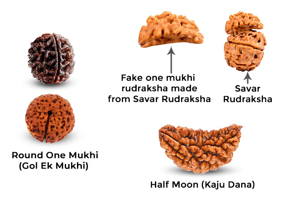 The Reality of Round One Mukhi (Gol Ek Mukhi)