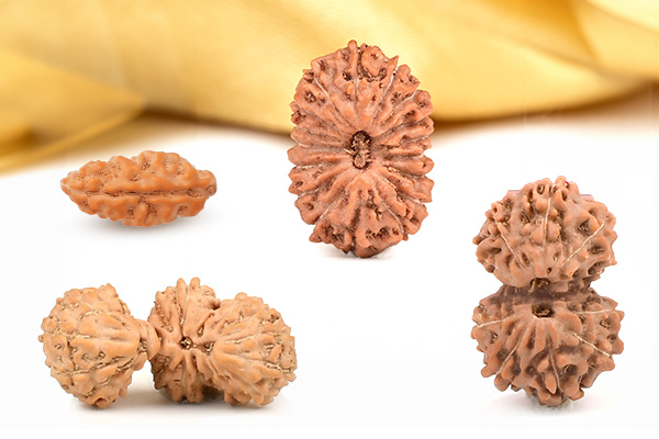 The Truth About the Effects of Java (Indonesian) Rudraksha Beads