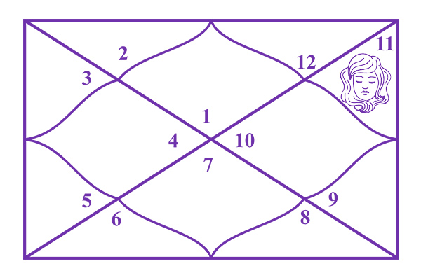 Virgo in the 11th House