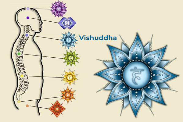 What is the Chakra System