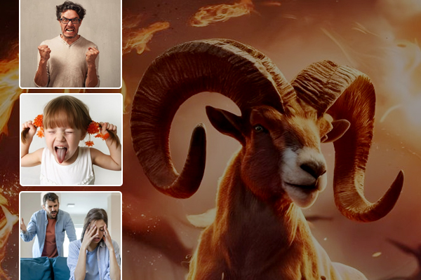 Weaknesses of Aries