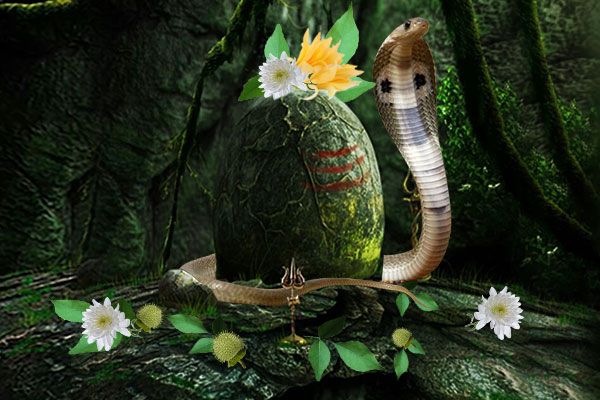 What Is Nag Panchami